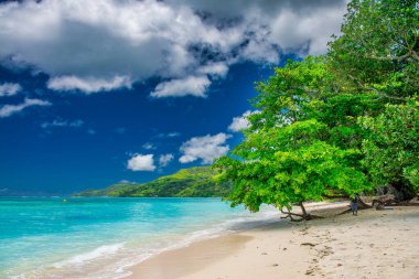 Mahe, Seyşeller 'deki Anse Royale Sahili