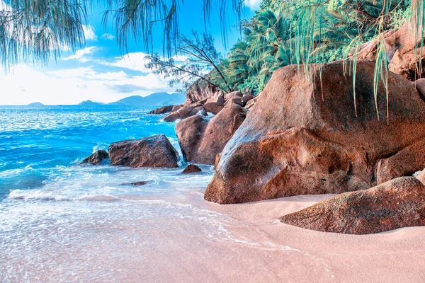 Rocks Trees Ocean Beautiful Sunny Day Seychelles — Stock Photo, Image