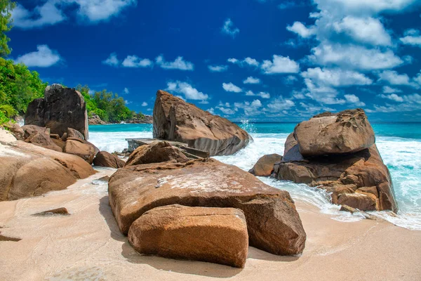 Камені Дерева Океані Прекрасний Сонячний День Сейшельських Островах — стокове фото