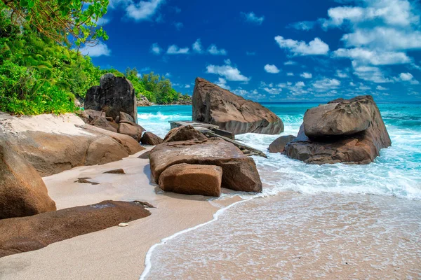 Kövek Fák Óceánon Gyönyörű Napsütéses Nap Seychelle Szigeteken — Stock Fotó