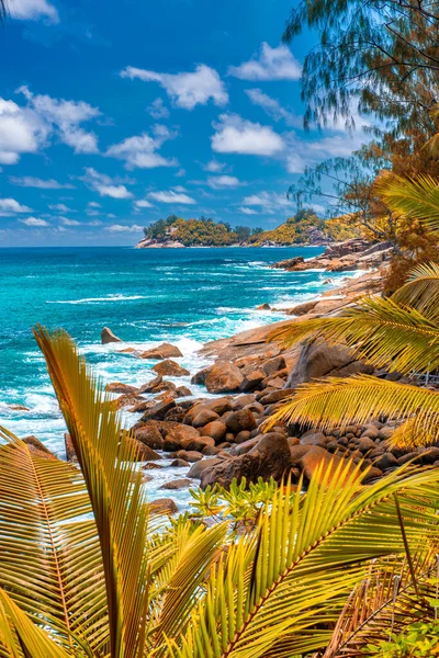 Rocks Trees Ocean Beautiful Sunny Day Seychelles — Stock Photo, Image