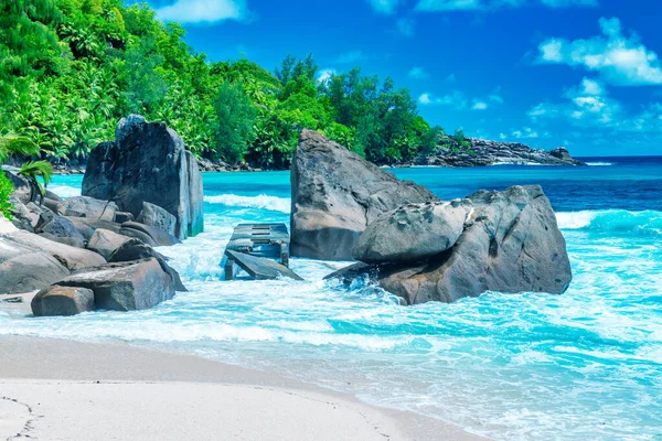 Rocks Trees Ocean Beautiful Sunny Day Seychelles — Stock Photo, Image