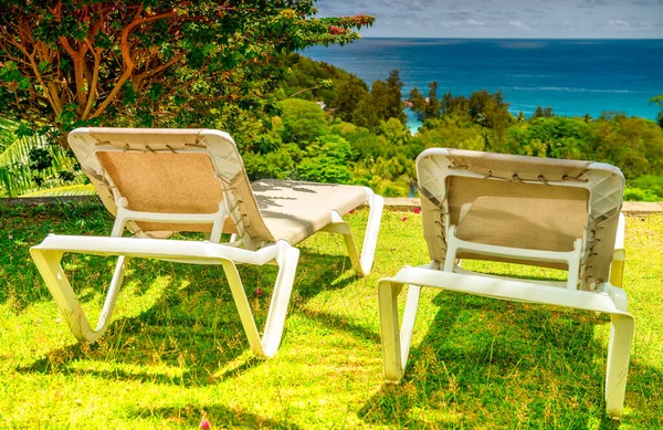 Zwei Liegestühle Mit Meerblick Einem Wunderschönen Wald Gelegen — Stockfoto