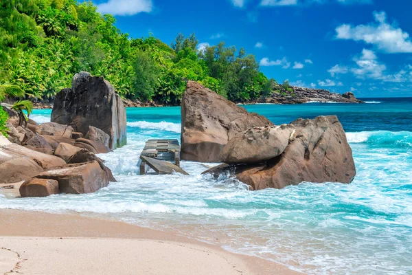 Rocks Trees Ocean Beautiful Sunny Day Seychelles — Stock Photo, Image