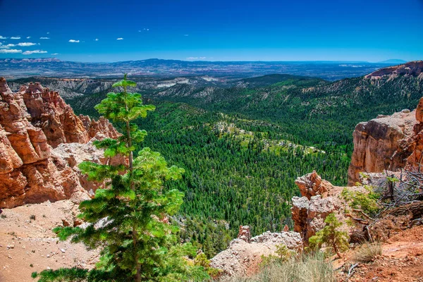 Aerial View Bryce Canyon Beautiful Summer Day Overlook Orange Colorful — Stock Photo, Image