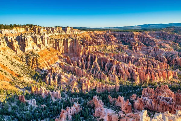 Aerial View Bryce Canyon Summer Sunrise Overlook Orange Colorful Hoodoos — Stock Photo, Image