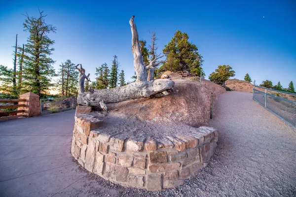 Gyönyörű Terasz Bryce Canyon Kilátás Napkeltekor Csillagok Égen Utah — Stock Fotó