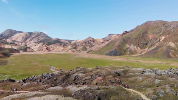 Híres izlandi táj a felföldön, Landmannalaugar terület - Izland. Zöld lávamezők és hegyek a háttérben, légi kilátás a drónról — Stock videók