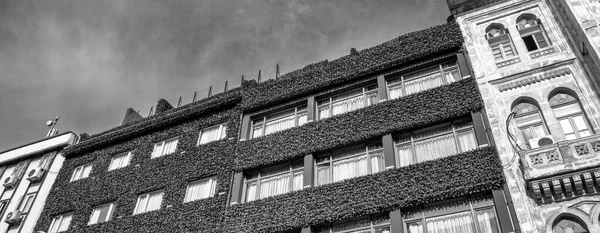 Edificio Antiguo Ecológico Con Vegetación Fachada Ecología Concepto Planeta Verde —  Fotos de Stock