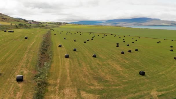 Haystacks sono avvolti in plastica da vicino. Sono arrivate le pile di paglia. Balle di paglia che giacciono sul campo agricolo. Vista aerea dal drone. — Video Stock