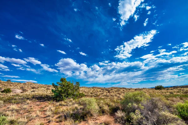 Park Narodowy Canyonlands Sezonie Letnim Utah — Zdjęcie stockowe