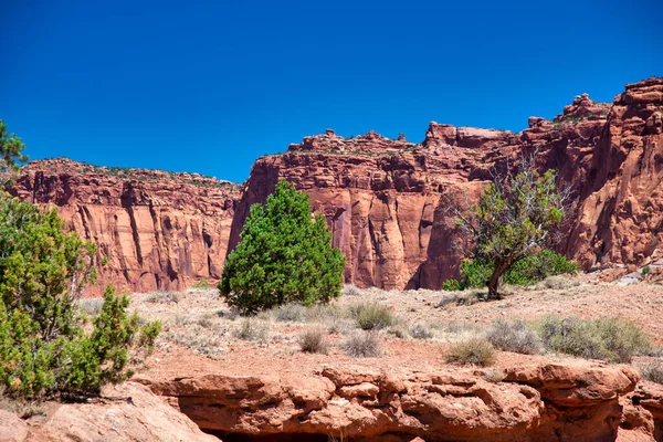 Nationalparken Capitol Reef Utah Röda Stenar Blå Sommarhimmel — Stockfoto