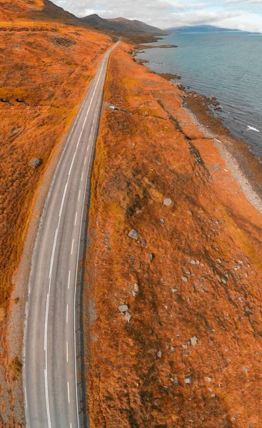 Исландский Фьорд Вид Воздуха Вертикальная Панорама Осеннего Сезона — стоковое фото