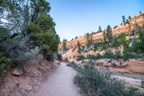 Mossy Cave Trail Bij Zonsondergang Bryce Canyon National Park Het — Stockfoto