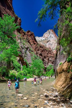 ZİON ULUSAL PARK, UT 19 Haziran 2018: Sıcak bir yaz gününde dereye ayak basan turistler