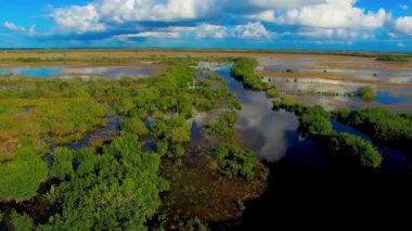 Everglades Ulusal Parkı, Florida. Hava aracından gün batımında bataklık ve gökyüzü manzarası