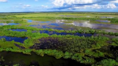 Everglades Ulusal Parkı, Florida. Hava aracından gün batımında bataklık ve gökyüzü manzarası