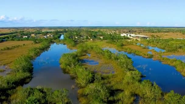 Everglades National Park, Florida. Flygfoto över träsk och himmel vid solnedgången från drönare — Stockvideo