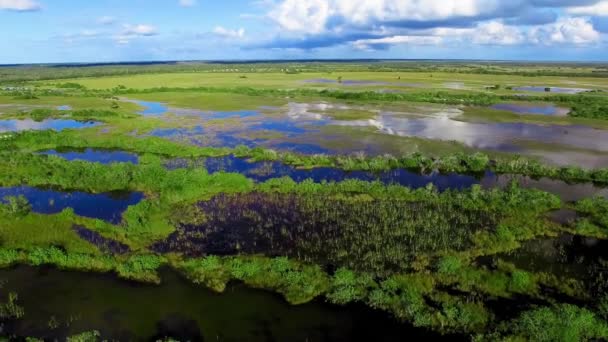 Parque Nacional Everglades, Florida. Vista aérea del pantano y el cielo al atardecer desde el dron — Vídeos de Stock