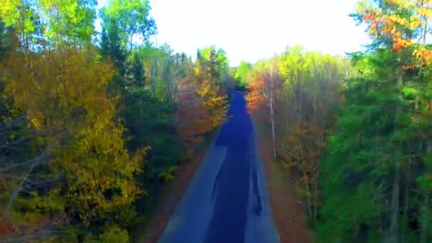 Yeşillik mevsiminin havadan görünüşü. Ağaçların arasından geçen yol sarı, yeşil ve kırmızı renklerde. Sonbaharda New England — Stok video