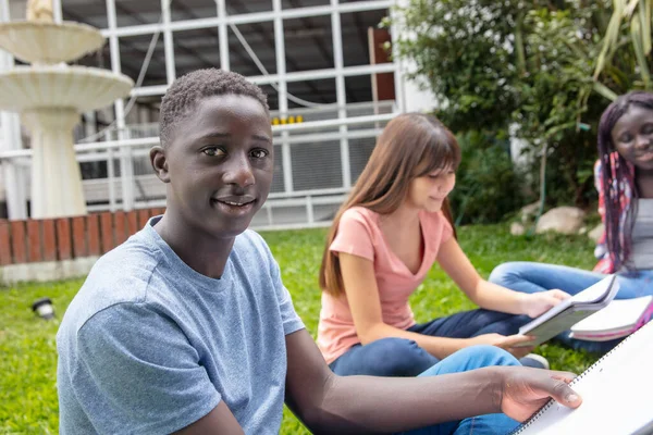 高校生の多民族学生が屋外でリラックスして勉強する — ストック写真