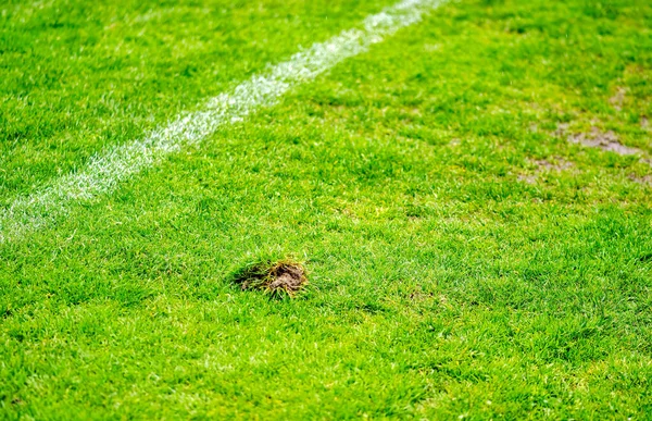 Local Repair Turf Football Field — Stock Photo, Image