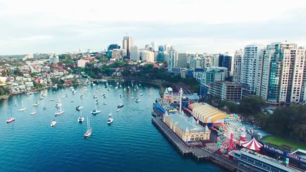Luftaufnahme der Lavender Bay in Sydney von einer Drohne aus — Stockvideo