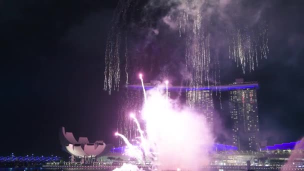 싱가포르 2020 New Years Eve Fireworks Marina Bay 의놀라운 스카이라인 — 비디오