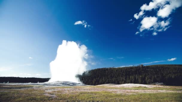 Parco Nazionale di Yellowstone, Wyoming. Vecchio fedele geyser — Video Stock