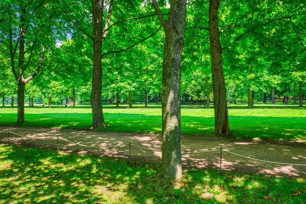 Krásný Městský Park Letní Sezóně — Stock fotografie