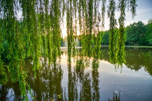 Piękny Park Miejski Letni Zachód Słońca Drzewami Jeziorem — Zdjęcie stockowe
