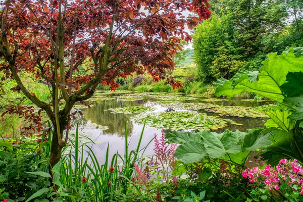 Giverny Francie Zahrady Clauda Moneta Letní Sezóně — Stock fotografie