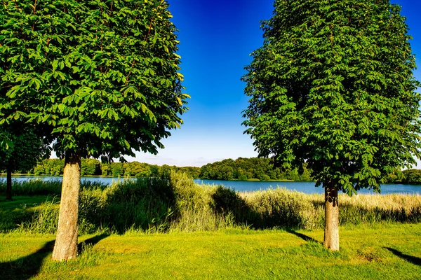 Några Gröna Träd Vacker Äng Längs Floden Solig Dag — Stockfoto