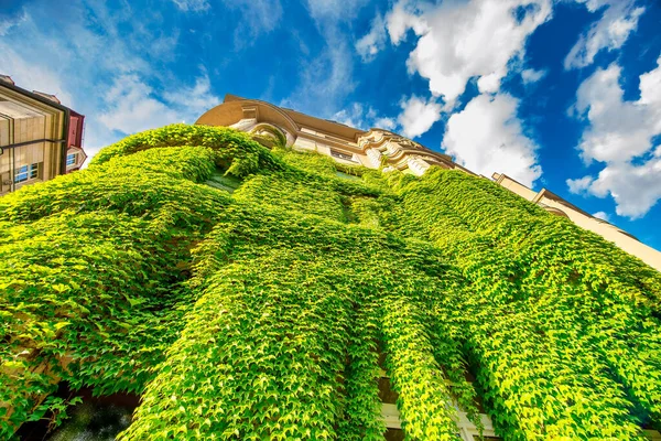 Ancienne Maison Mur Sous Ciel Bleu Mur Est Pas Visible — Photo