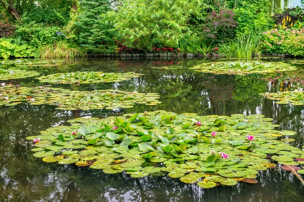 Giverny, Fransa. Yaz mevsiminde Claude Monet Bahçeleri