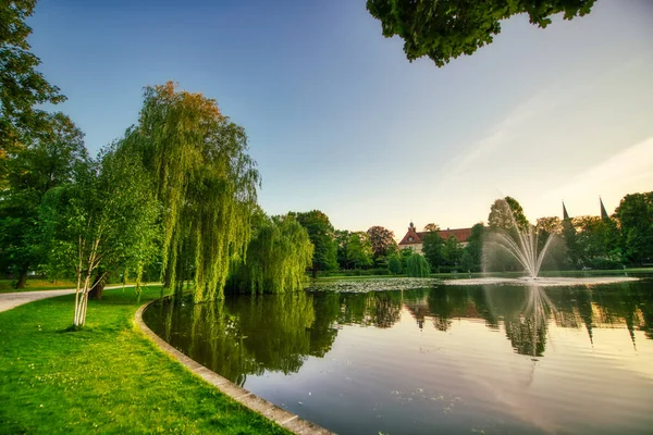 Yaz günbatımında güzel şehir parkı Ağaçlar ve gölle