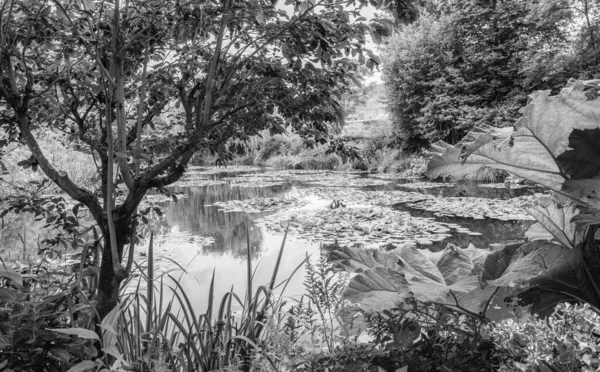 Giverny Francja Ogrody Claude Monet Sezonie Letnim — Zdjęcie stockowe
