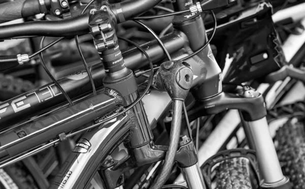 Целле Германия Июля 2016 Года Станция Проката Велосипедов Красочными Велосипедами — стоковое фото