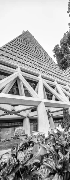 San Francisco Kalifornien Augusti 2017 Street View Transamerica Building Stadsikon — Stockfoto