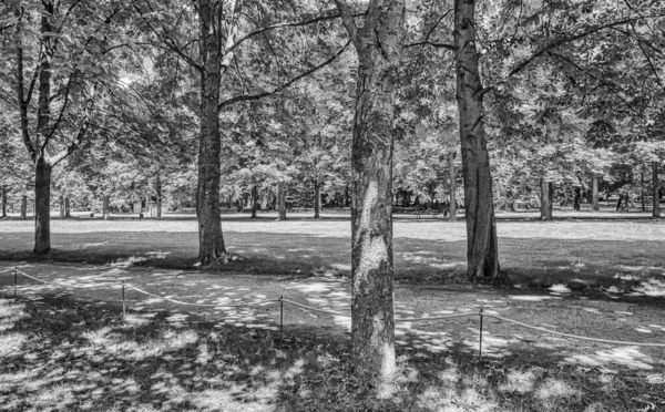 Prachtig Stadspark Het Zomerseizoen — Stockfoto