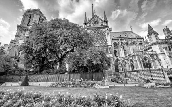 Catedral Notre Dame Fachada Jardins Paris Belo Dia Ensolarado — Fotografia de Stock