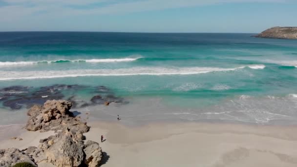 Pennington Bay is een prachtig strand in Kangaroo Island, Zuid-Australië. Luchtfoto van drone — Stockvideo