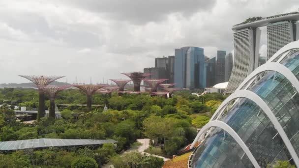 SINGAPORE - 3 HAZİRAN 2020: Modern Marina Körfezi bölgesinin havadan görünüşü ve arka planda şehir merkezi silüeti olan parklar — Stok video