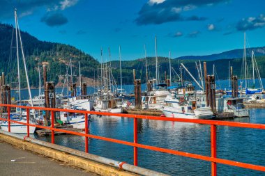 Vancouver Adası, Kanada - 13 Ağustos 2017: Cowichan Körfezi limanı ve güzel bir yaz gününde tekneler