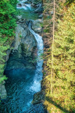 Britanya Kolombiya Ormanı, Kanada 'da Şelale