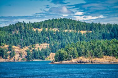 Gürcistan Boğazı, İngiliz Kolombiyası Yaz sezonunda kostüm