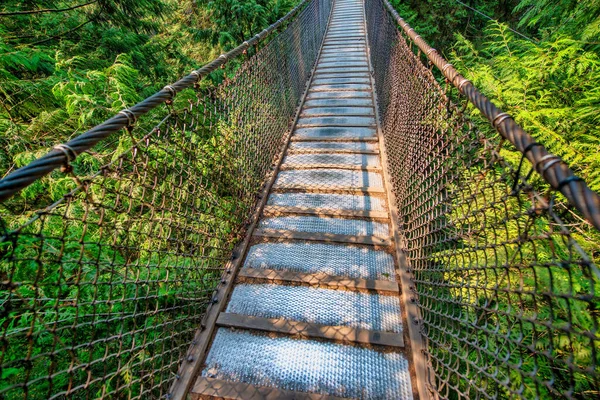 温哥华美丽的Capilano悬崖悬索桥 — 图库照片