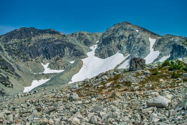 Whistler Mountains Der Sommersaison British Columbia — Stockfoto