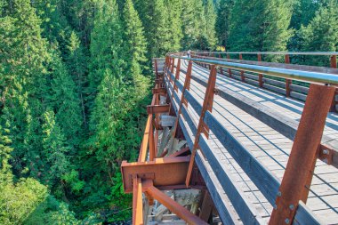 Tarihi demiryolu köprüsü Kinsol Trestle 'nin (Koksilah River Trestle) tahtadan yapılmış görüntüsü - Vancouver Adası