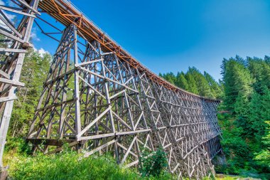 Tarihi demiryolu köprüsü Kinsol Trestle 'nin (Koksilah River Trestle) tahtadan yapılmış görüntüsü - Vancouver Adası
